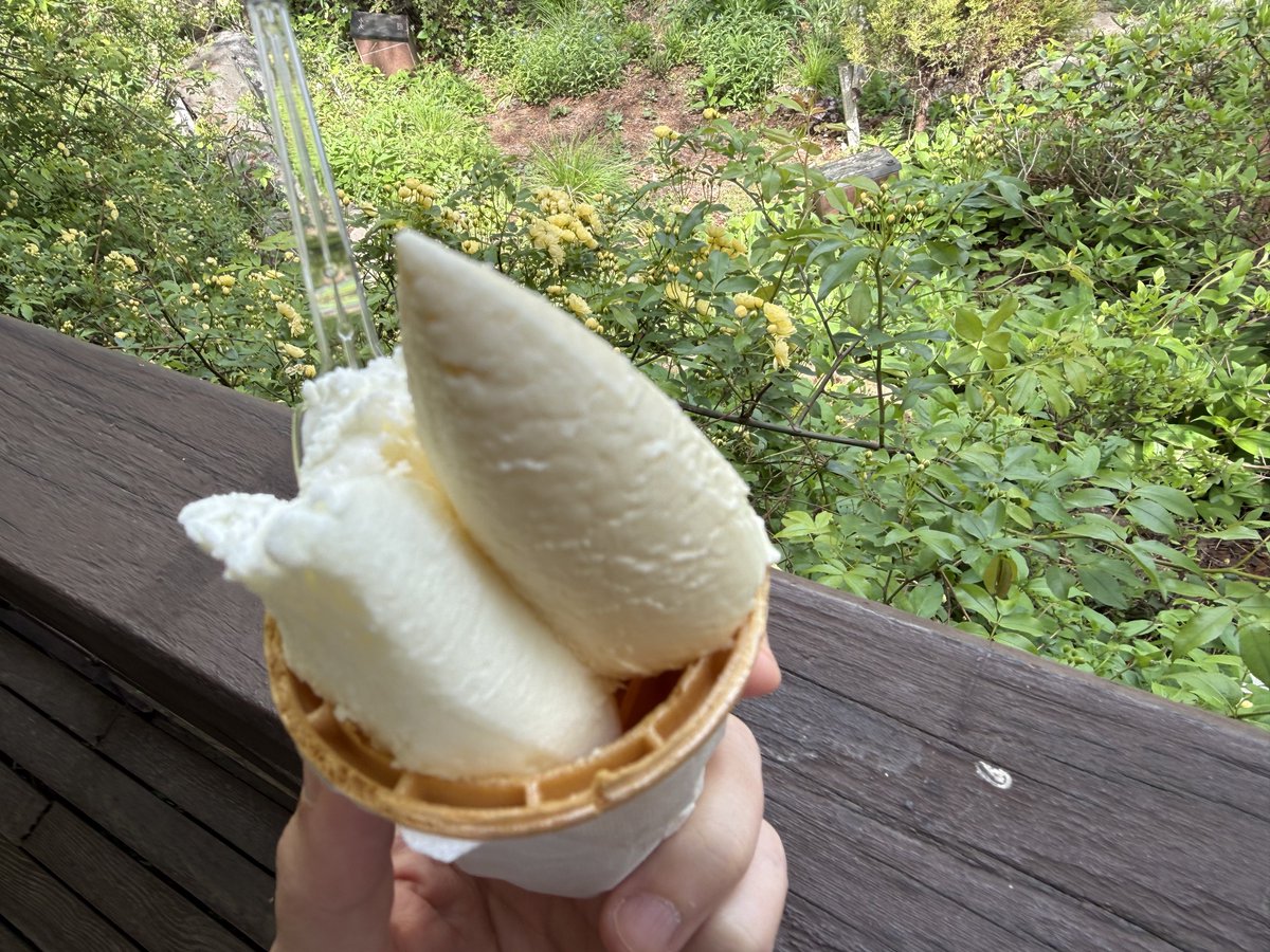 ほうじ茶 tweet media