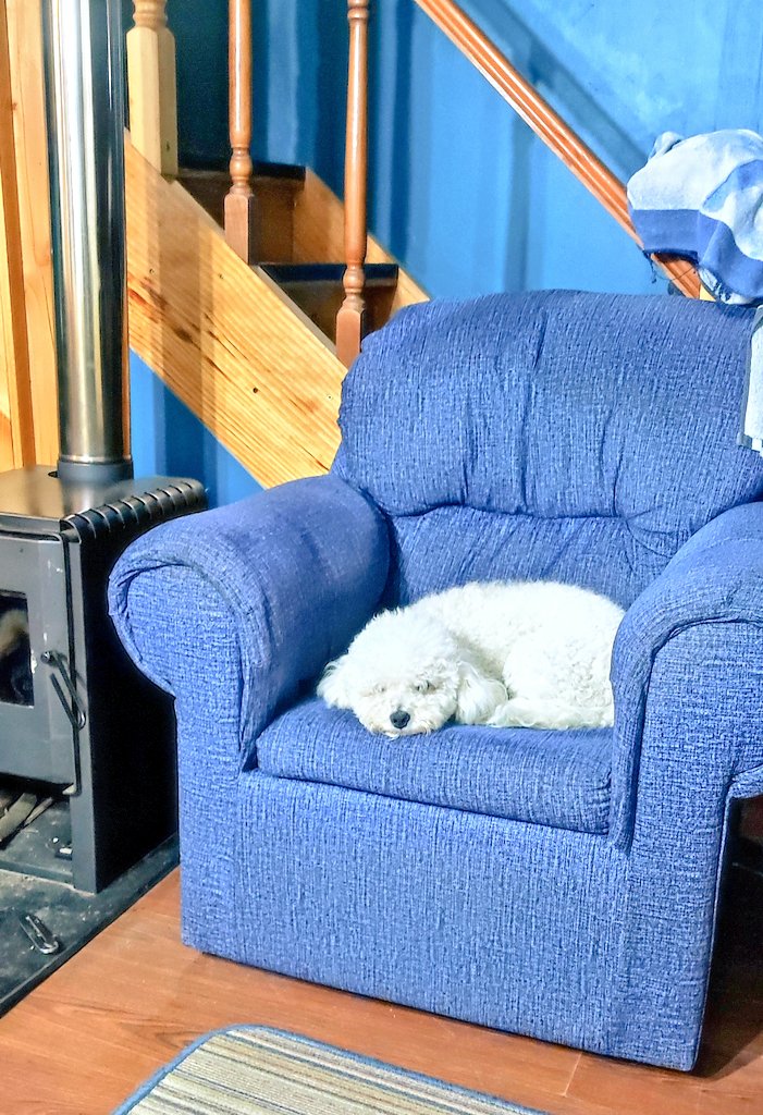 Ąndrés 🐧 tweet media