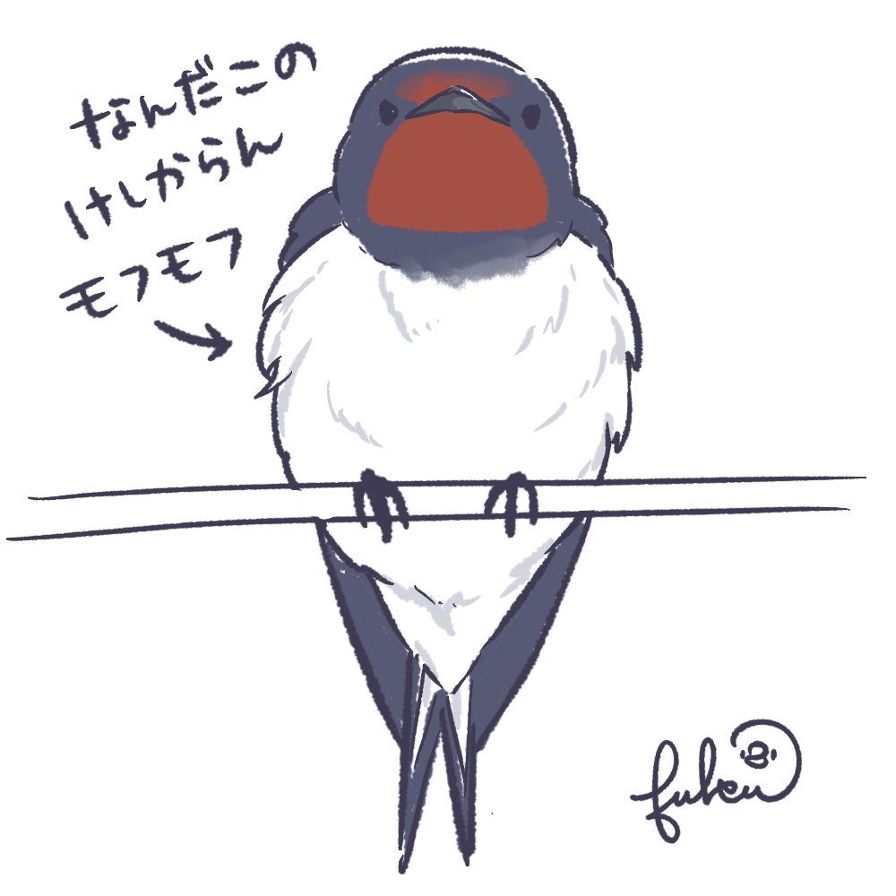 ふくふく堂 tweet media