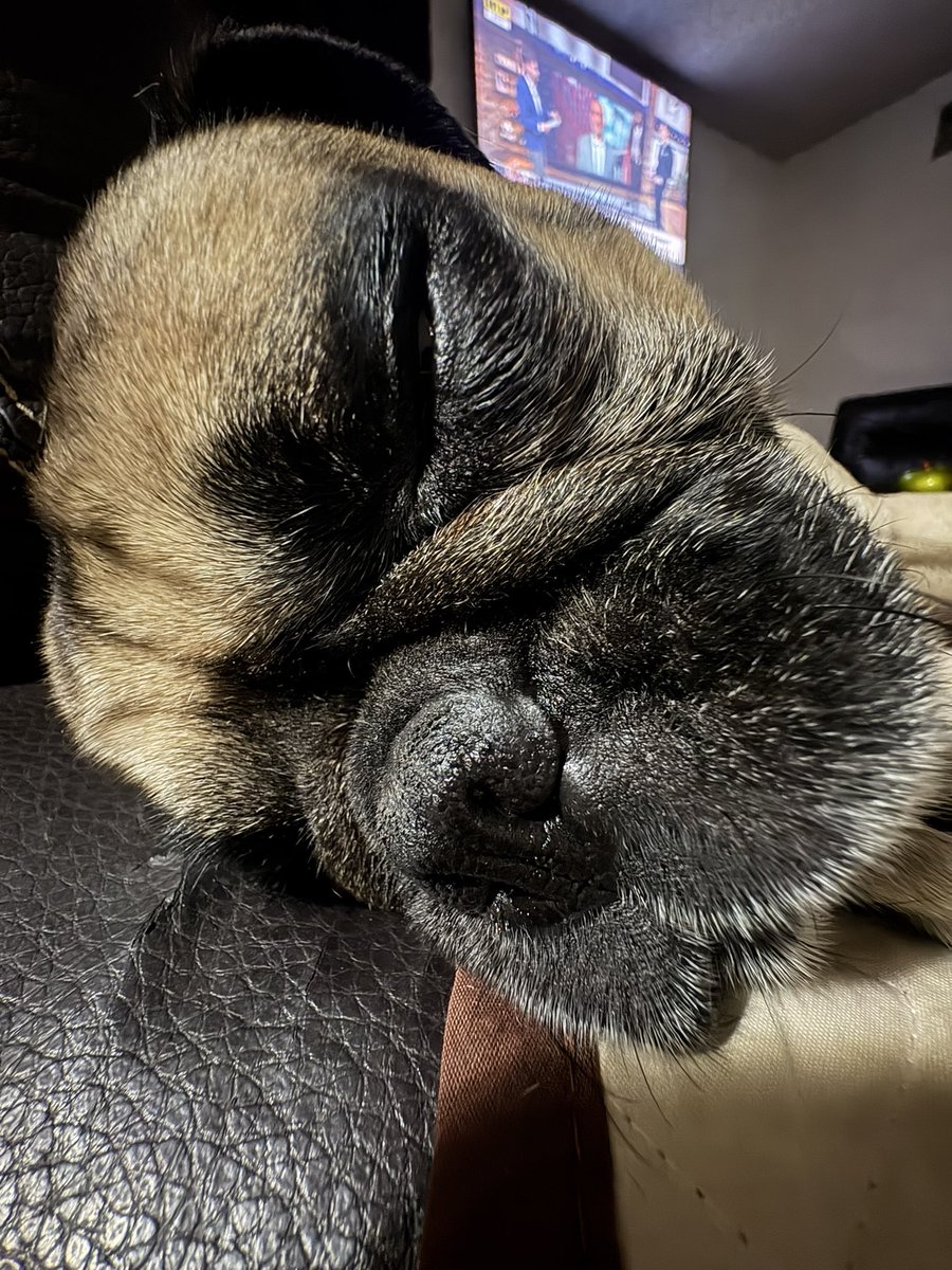 Mel 🌟 tweet media