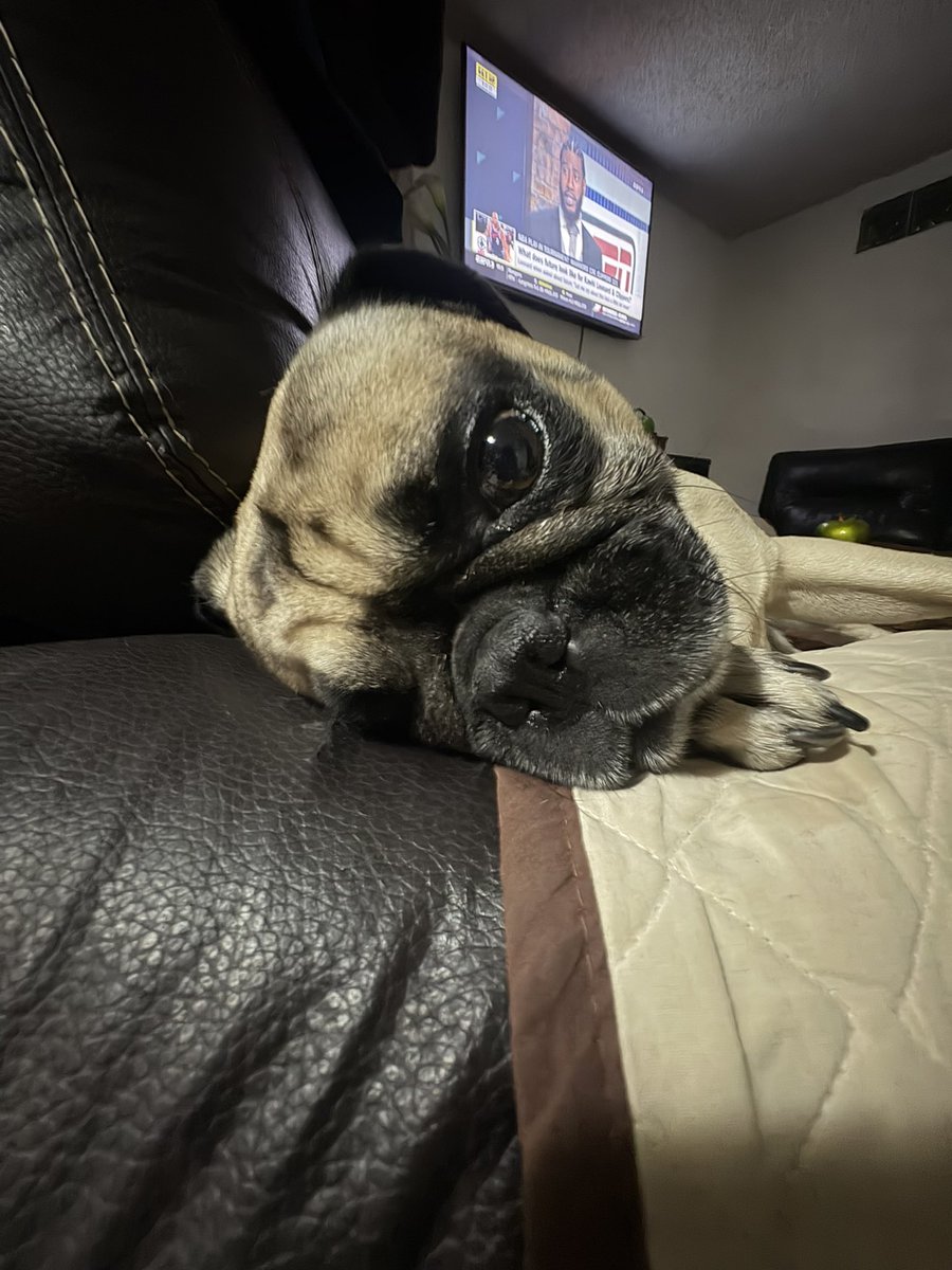 Mel 🌟 tweet media