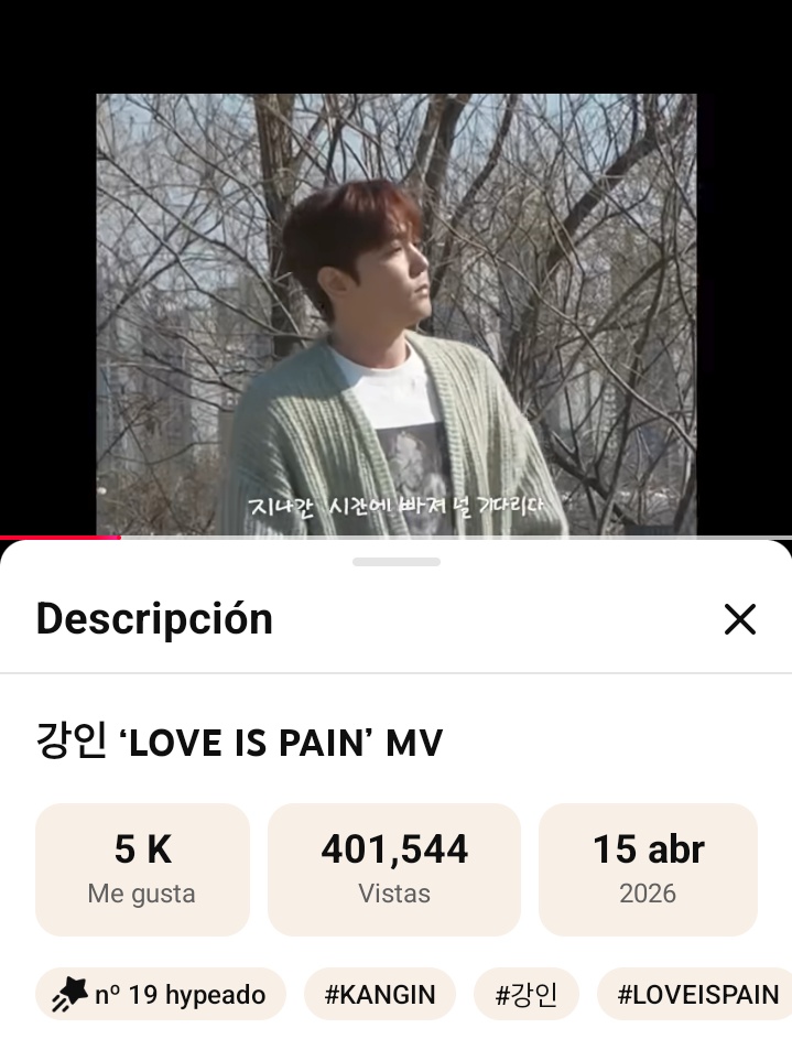 Mapachitas Team tweet media