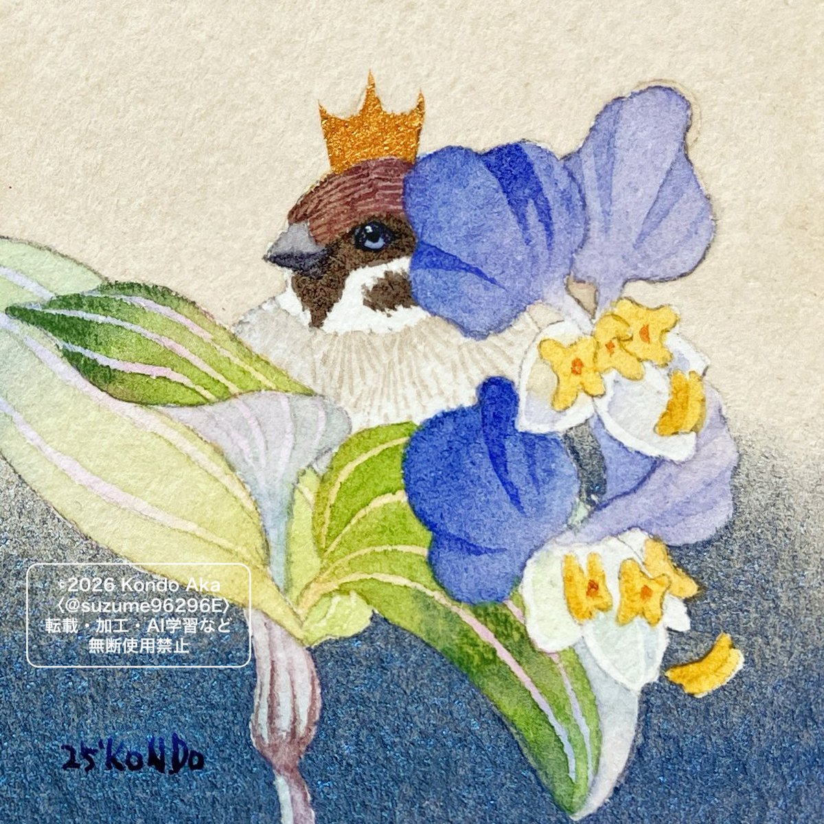 近藤 朱｜デザフェスC157両日 tweet media