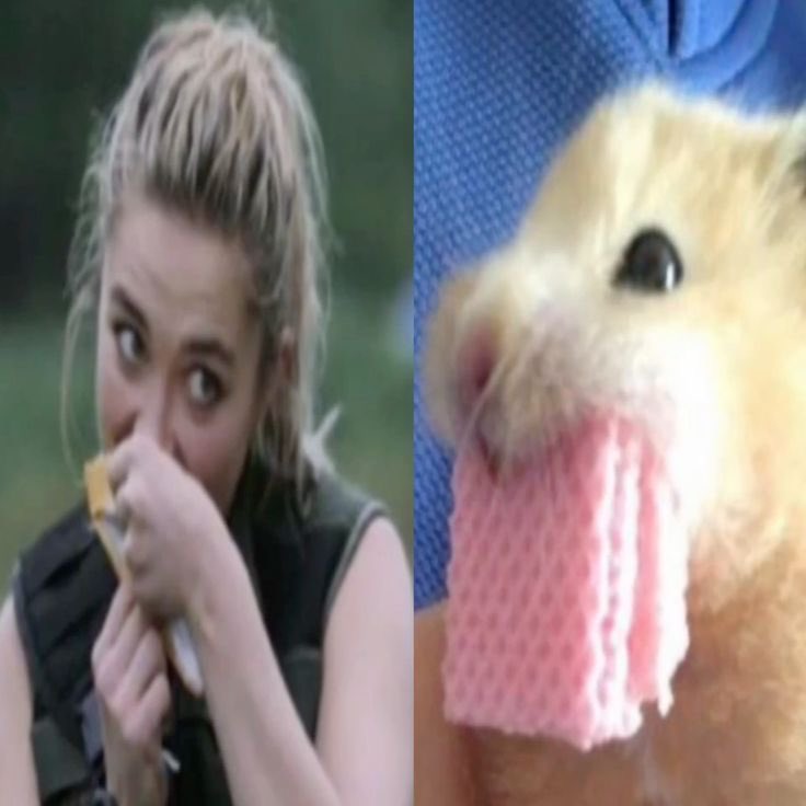 ˖𓍢ִ໋ 𝓈𝘦𝘢𝘴𝘰𝘯 ℴ𝘧 𝓉𝘩𝘦 𝒲𝘐𝘛𝘊𝘏 tweet media