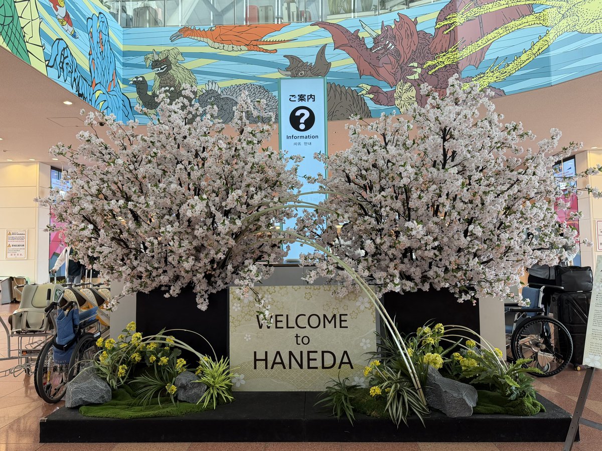 りーくん tweet media