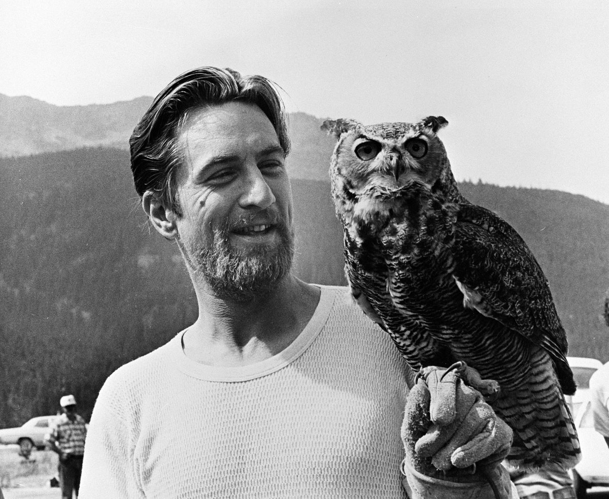 Remnants of the Past tweet media