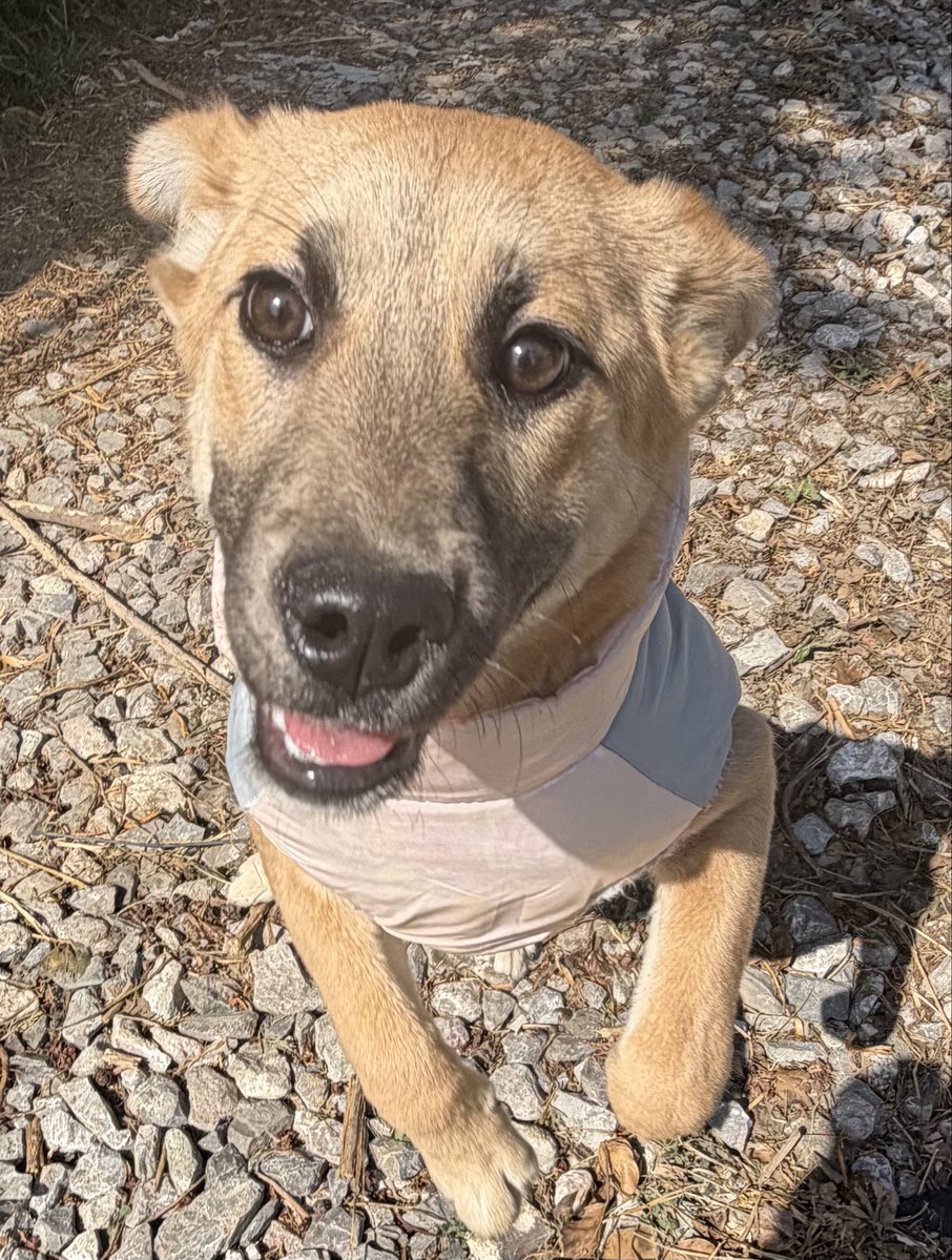 Oceanican tweet media