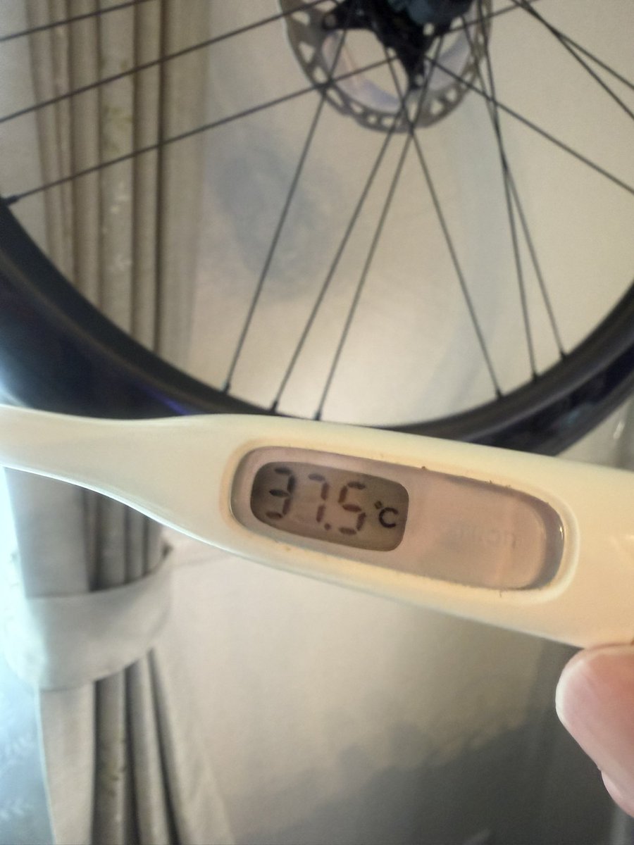 横須賀ふたば tweet media