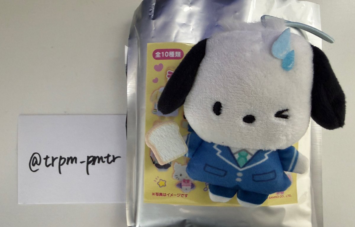 ぽむた tweet media