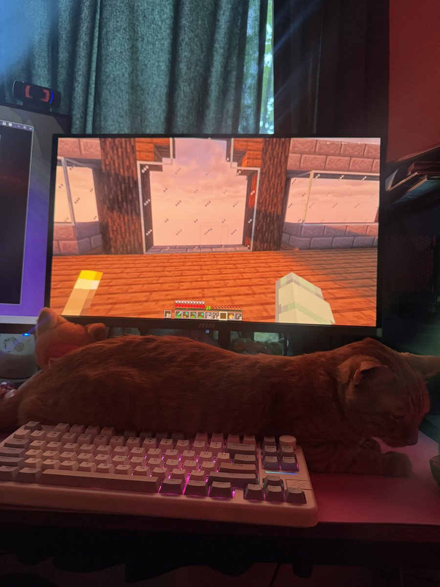 swagmommyanna's tweet image. 🐈 #mc #moots? #pc