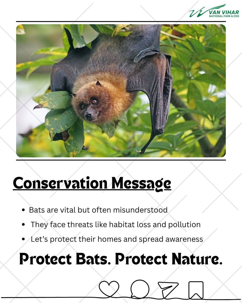 Van Vihar National Park tweet media