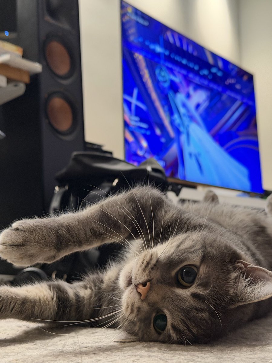 Epic Tofu (Chris) tweet media