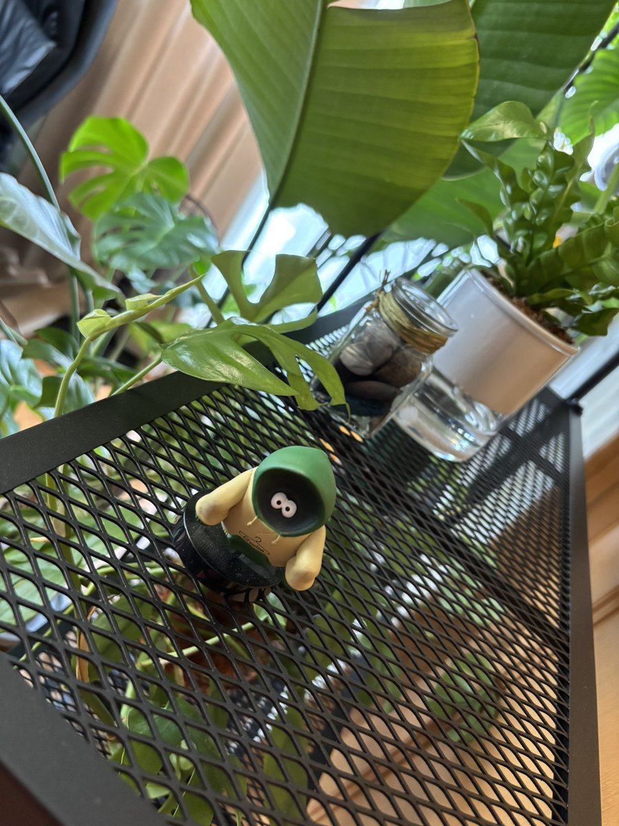 ROCK＿るぃー tweet media