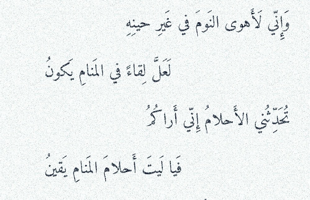 بيت شعر عربي كل يوم tweet media