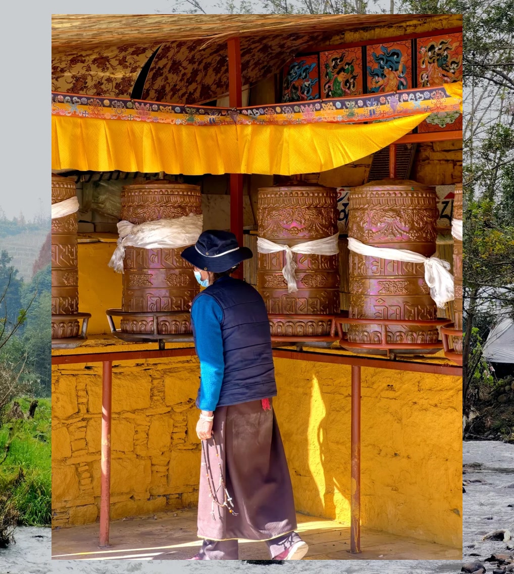 Shawn Tope tweet media