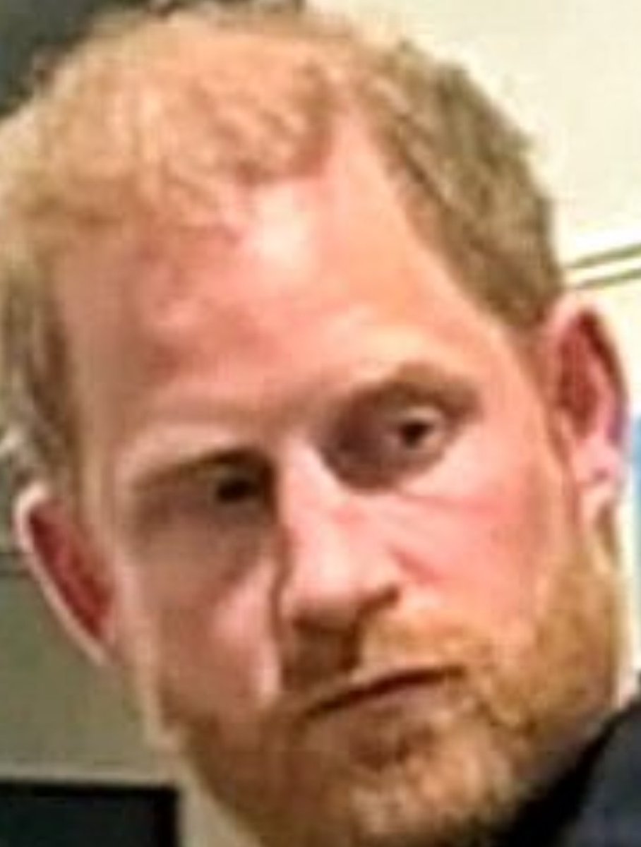 Milano Returns tweet media