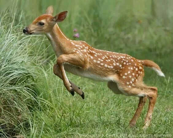 454livia's tweet image. #spotthedifference 🤔