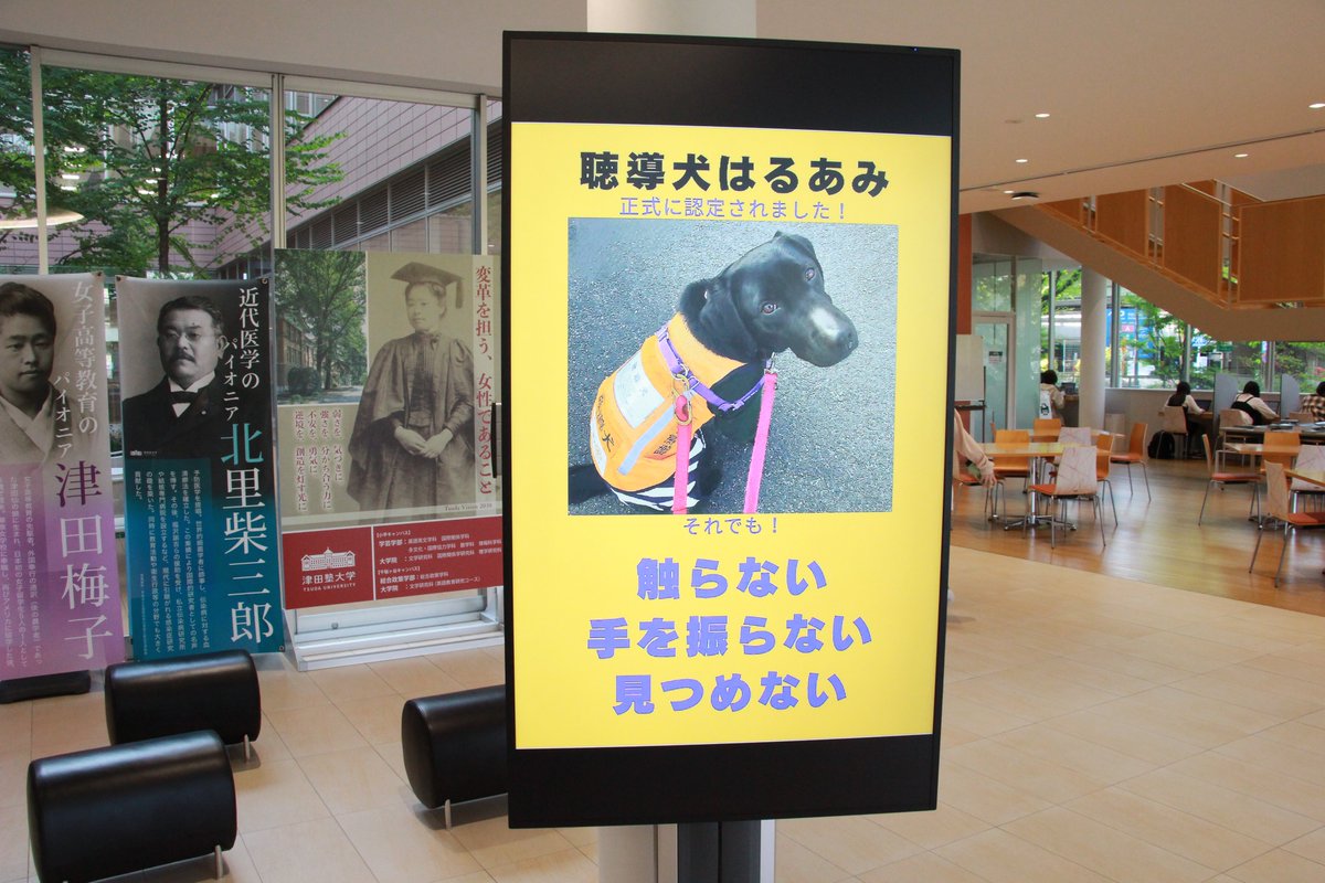 tsudacps's tweet photo. 中條美和准教授のサポートをしている聴導犬「はるあみ」さんが、認定試験に合格しました！
#千駄ヶ谷キャンパス では、今週から第1タームが始まりましたが、はるあみさんも出勤し、チャイムの音に反応して授業の開始を知らせてくれています！

#津田塾大学 #総合政策学部 #総合政策学科 #聴導犬 https://t.co/sjfzVgv1VP