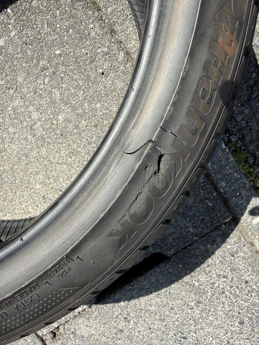 しろい tweet media