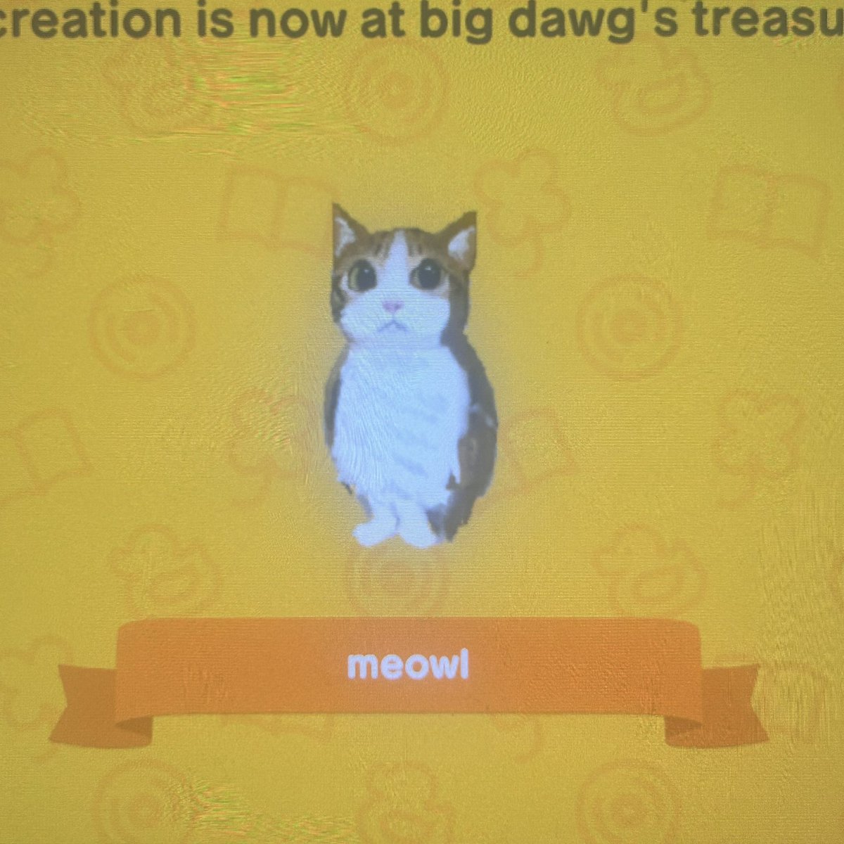 Kasio || COMMS OPEN tweet media