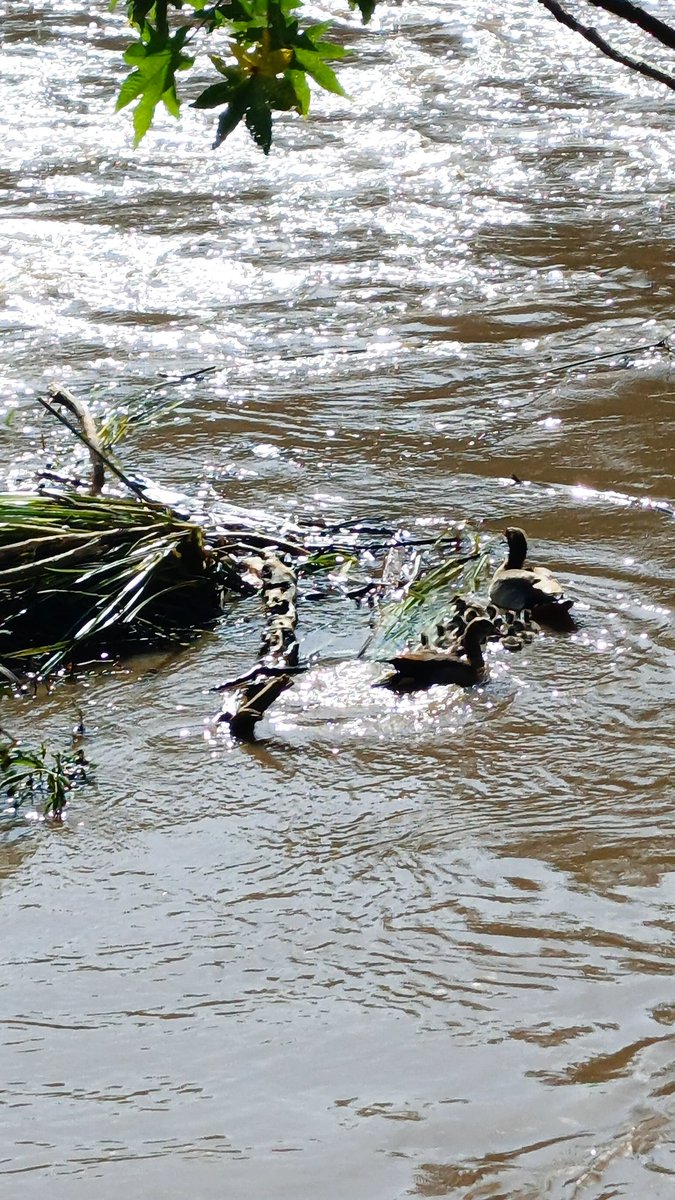 aarrrggghhhhhh!!! tweet media