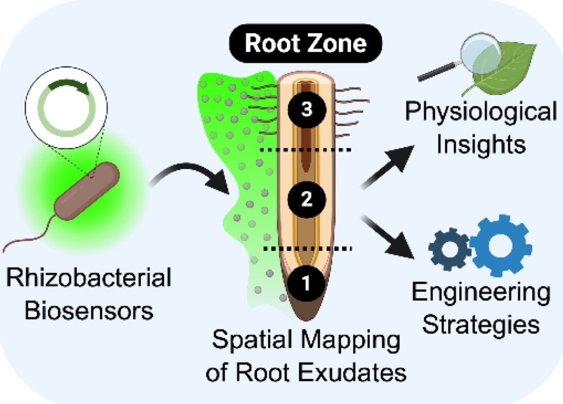José Dinneny tweet media