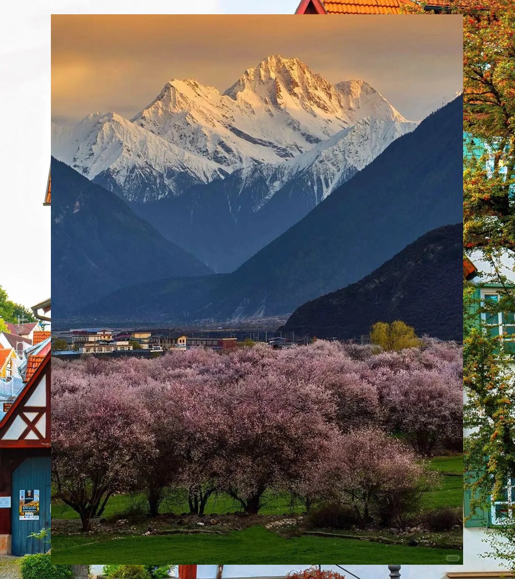 Daniel Stacks tweet media