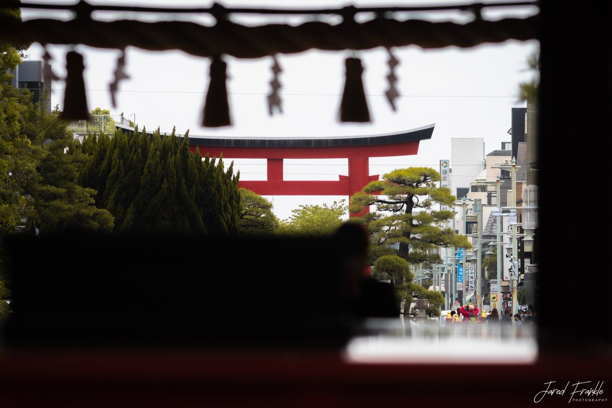 Jared Frankle tweet media