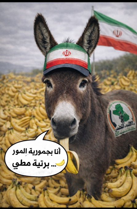 بن حسن tweet media