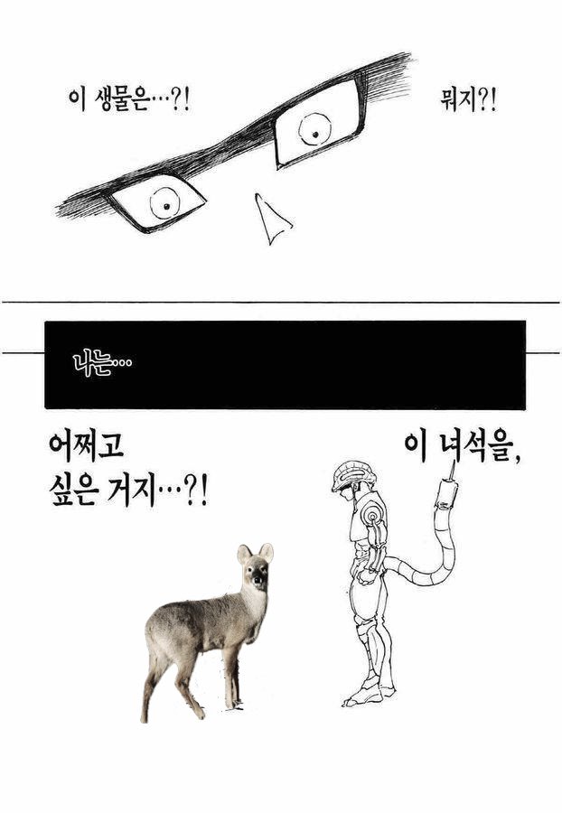 크레이지코리안락쟁이☔️ tweet media