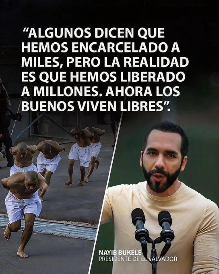 Maria Raquel Rosa tweet media