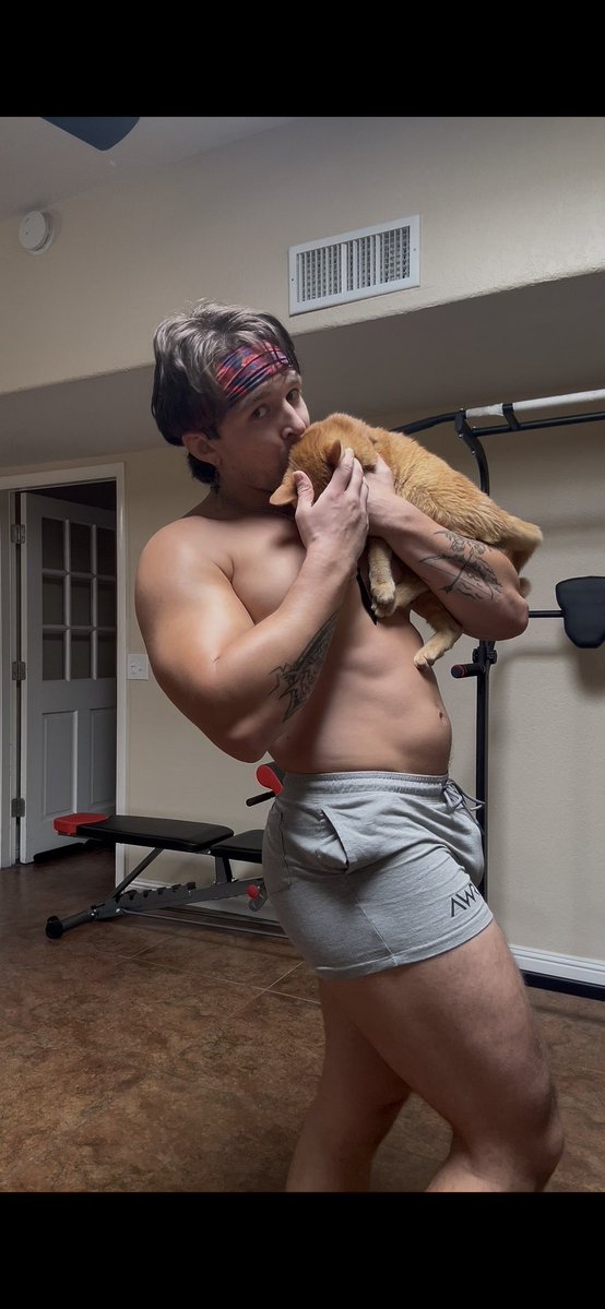 Major Pectoralis tweet media