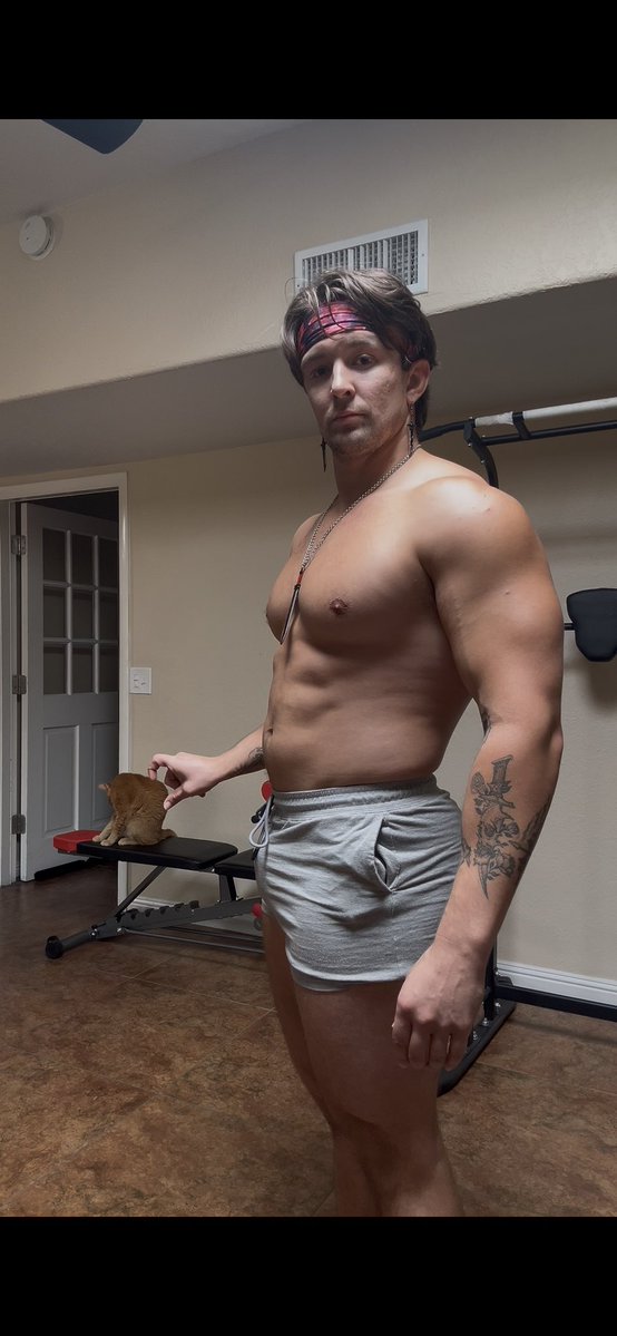 Major Pectoralis tweet media