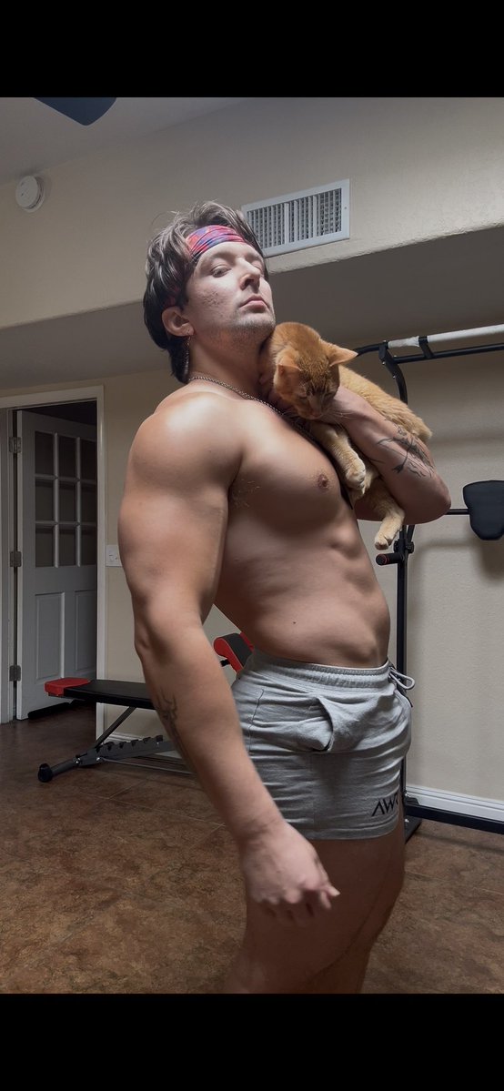 Major Pectoralis tweet media