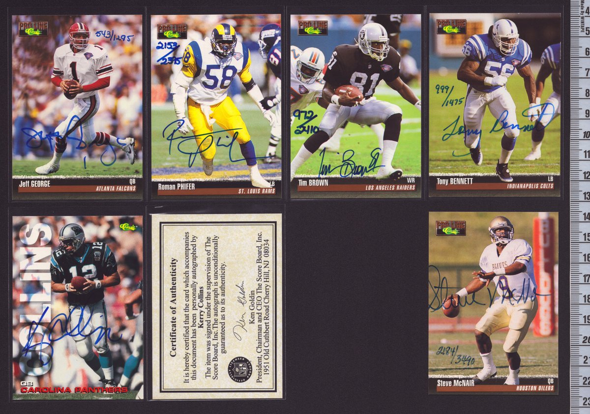 Collectosaurus tweet media