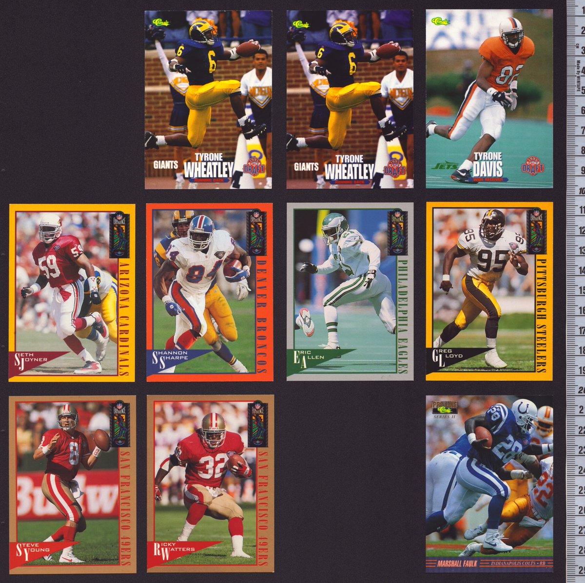 Collectosaurus tweet media