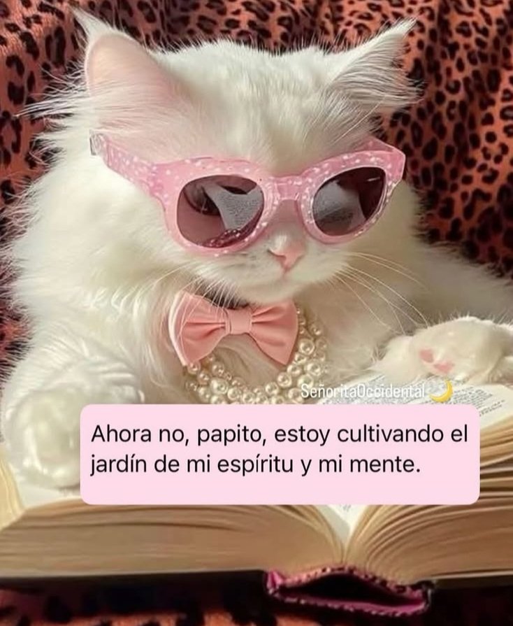 Yami18092004's tweet photo. Si quieres, regresa otro día 🤷‍♀️ https://t.co/M93u7y56EB