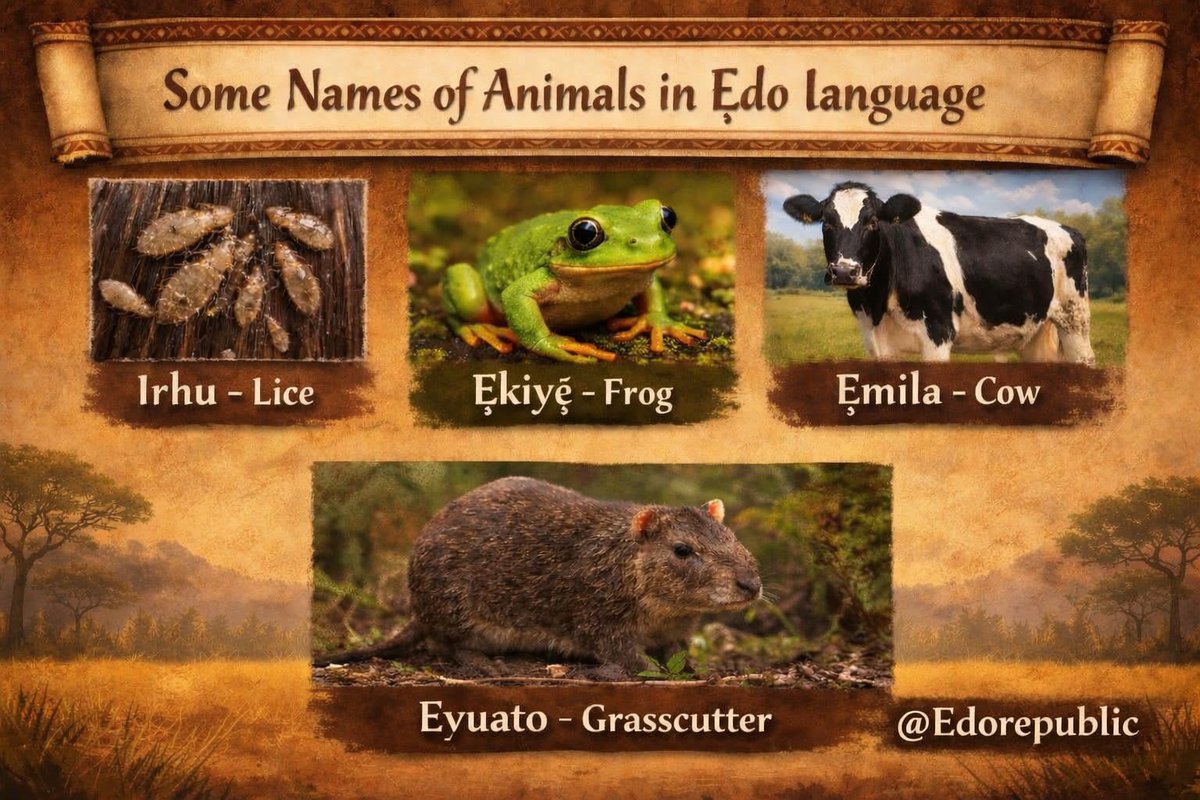 EdoRepublic tweet media