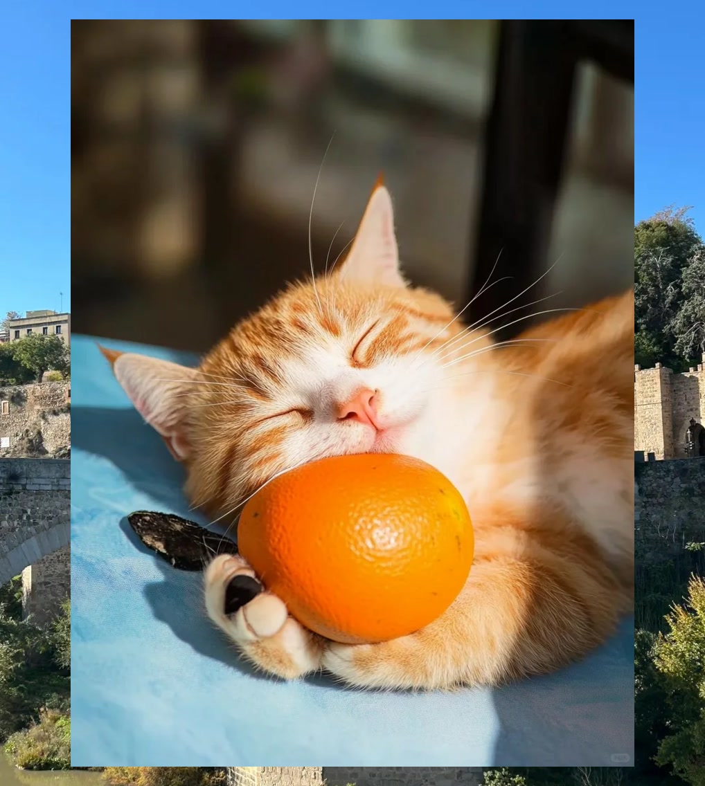 David Reynolds tweet media