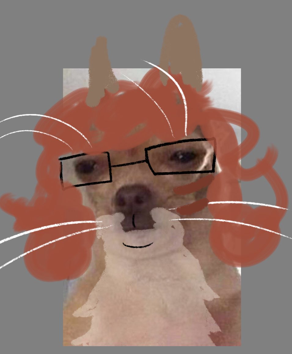 🖌️🐈 Knoo (@nothingknoo) on Twitter photo 