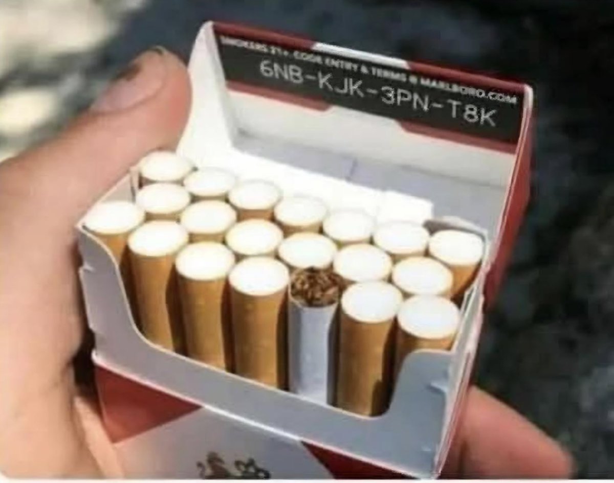 buksna na vetru tweet media