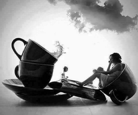 Andrée Vanderdonckt tweet media