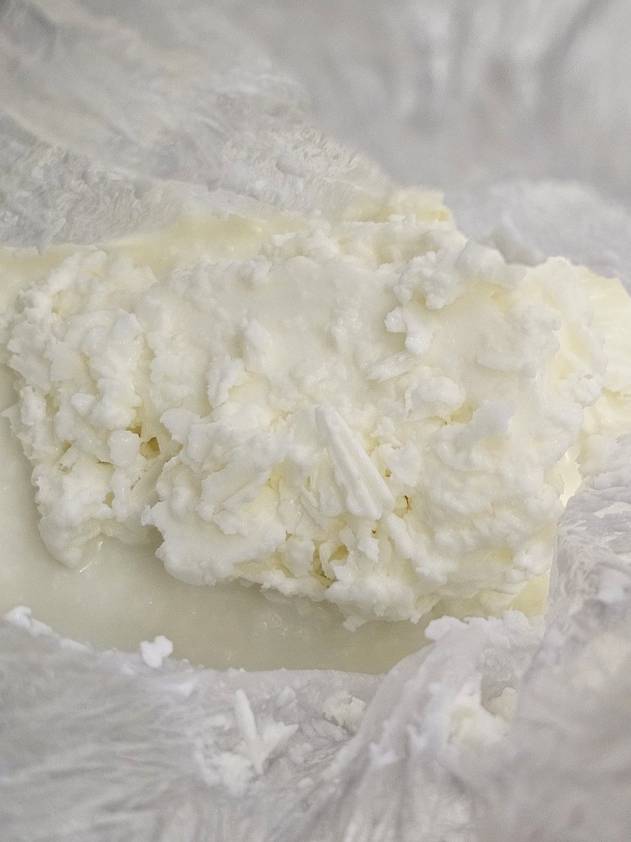 Now The Present tweet media