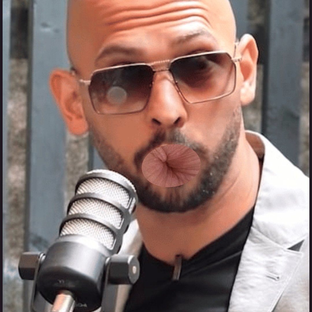 Wallstreet Jeets tweet media