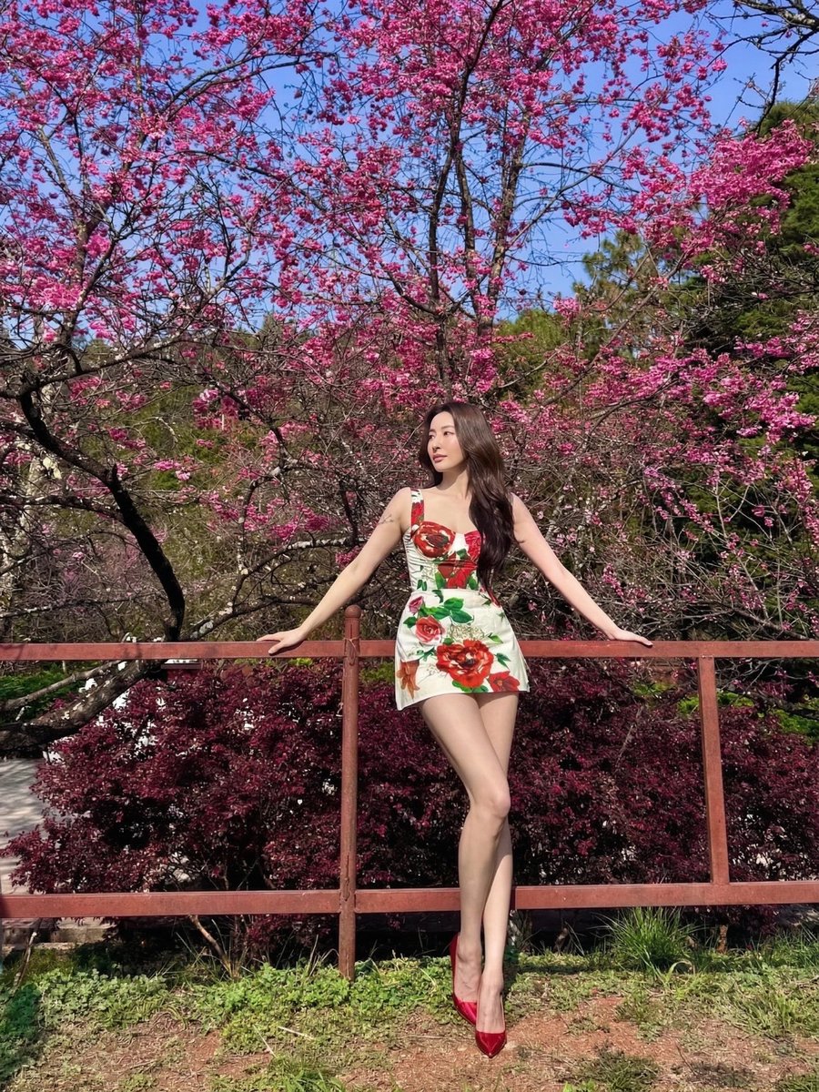 石頭妈咪 tweet media