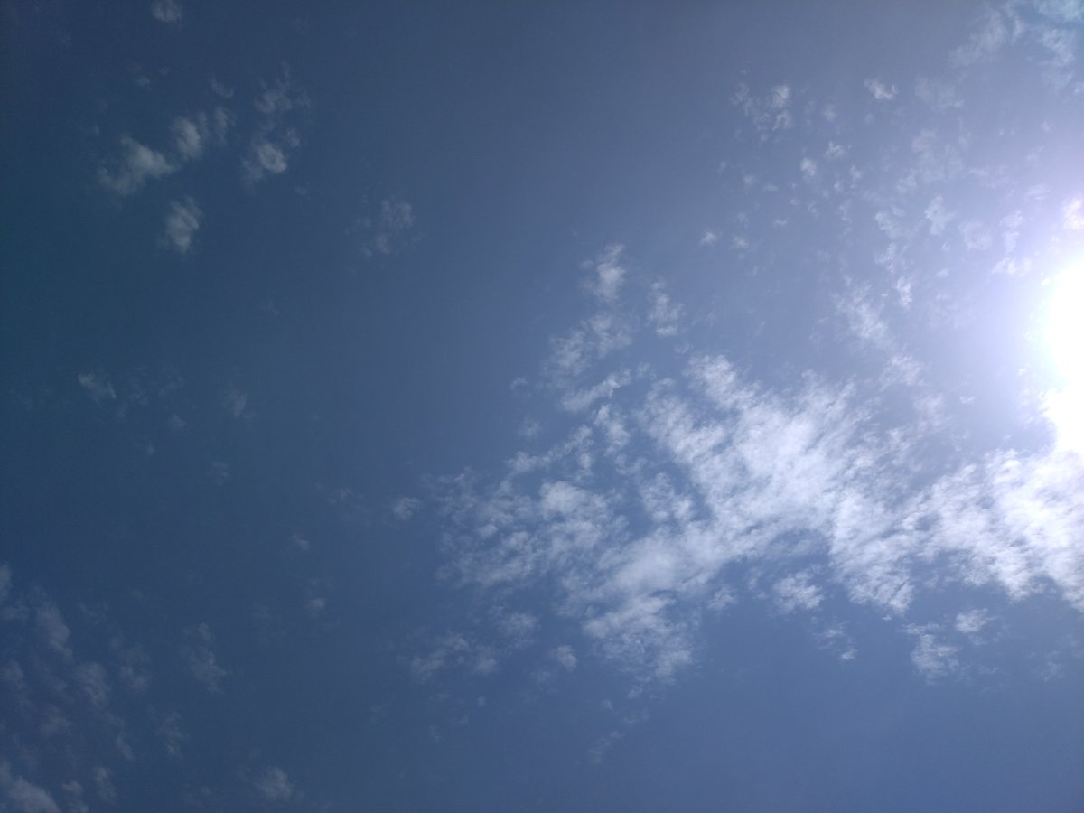 #イマソラ
関西は晴れ🌞
気温は24.9℃
今年はエルニーニョ現象ほぼ確定だそうですが、大気自体が熱くなっているので猛暑は避けれないかも❔❔🤔