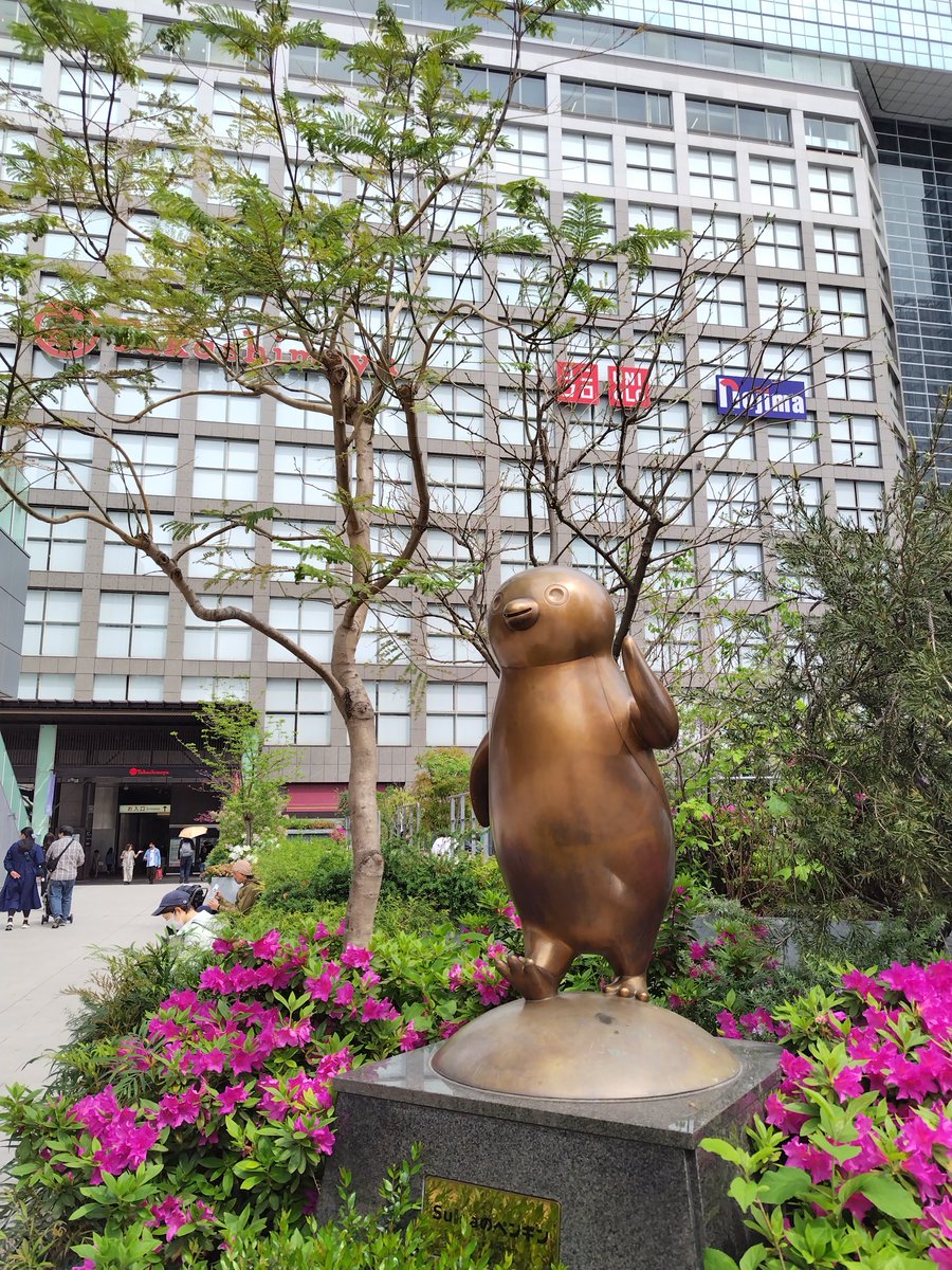 エリザベス江戸川 tweet media