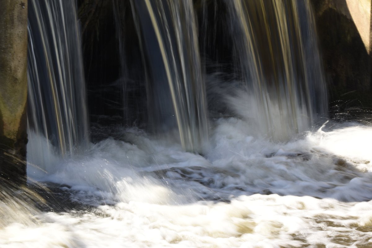 moonaaa's tweet image. Don't go with the flow, be the flow 🩵

Goedemorgen slaapkoppen 😉
Goede vrijdag☕️☀️
#picturepainting #nature #learning #naturephotography