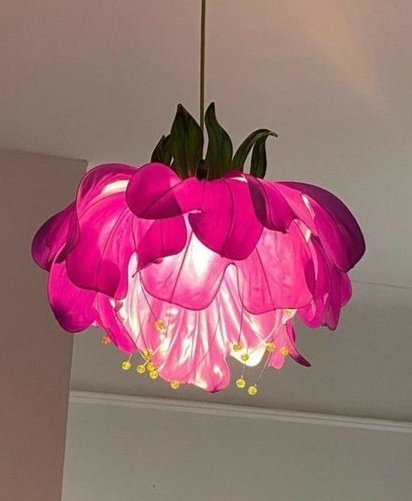 Fran van iris,💖🦋 tweet media