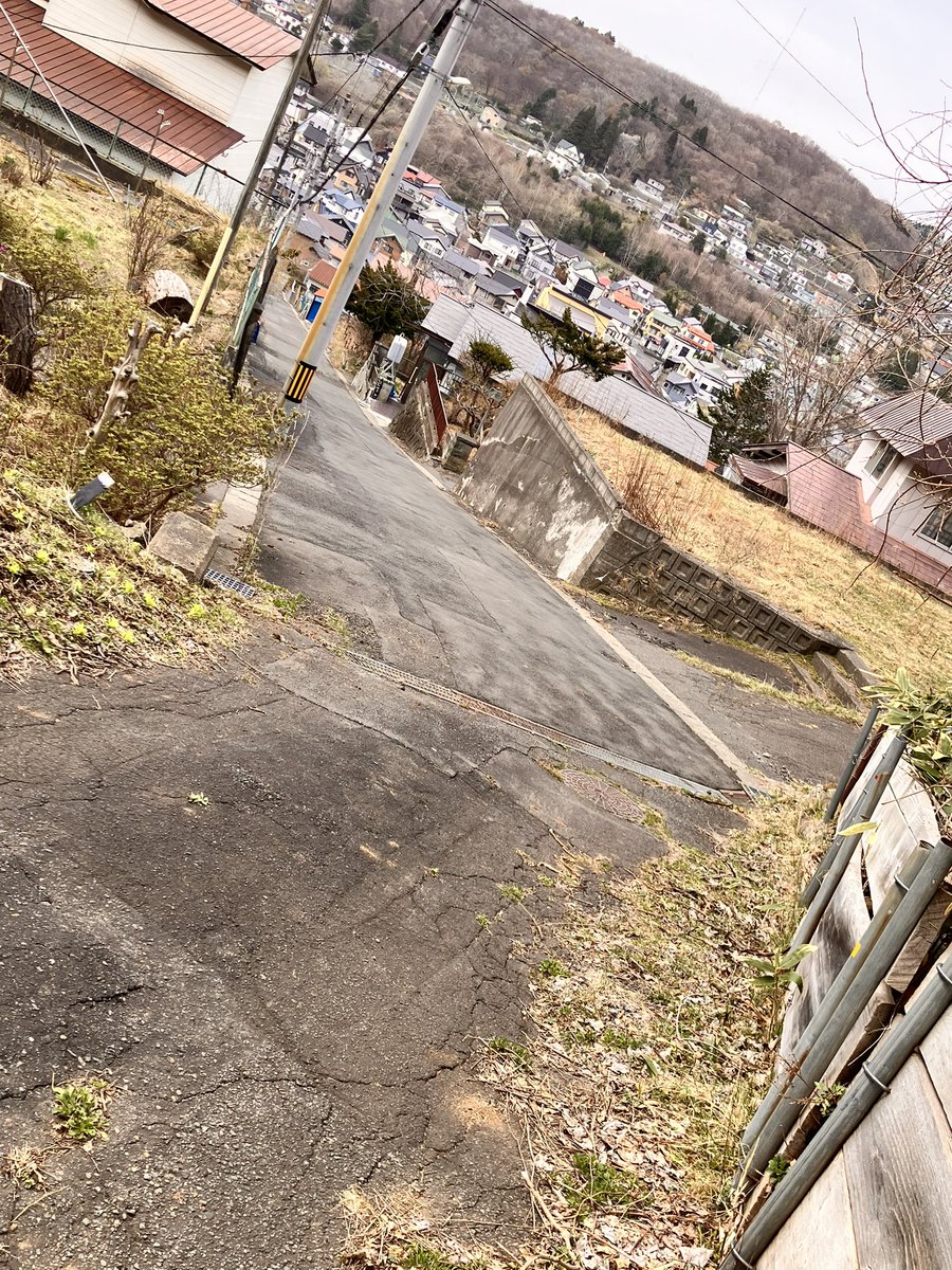 ライト・ヒメア tweet media